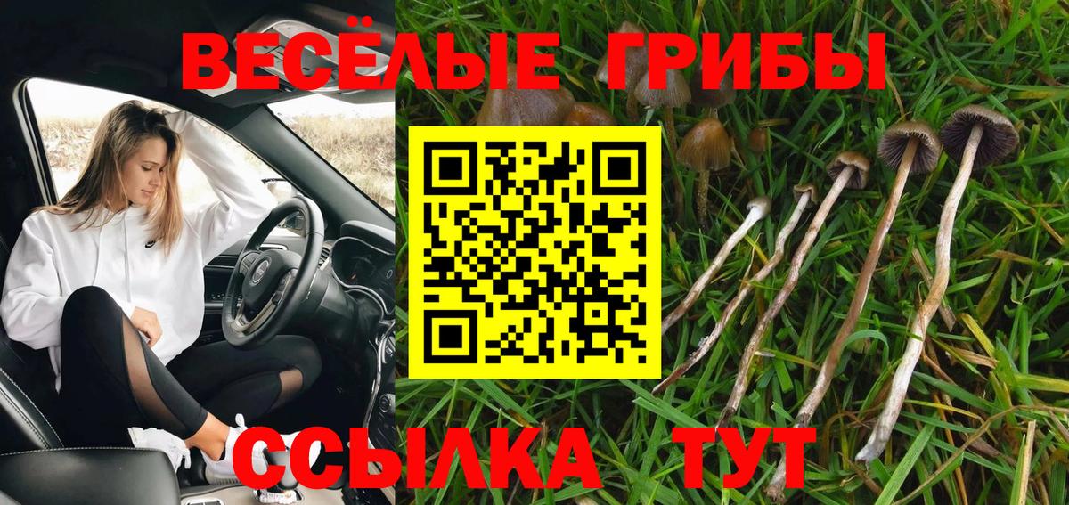где купить наркоту  Галлюциногенные грибы GOLDEN TEACHER  Вход с VPN  Галлюциногенные грибы Magic Shrooms  Лесосибирск 